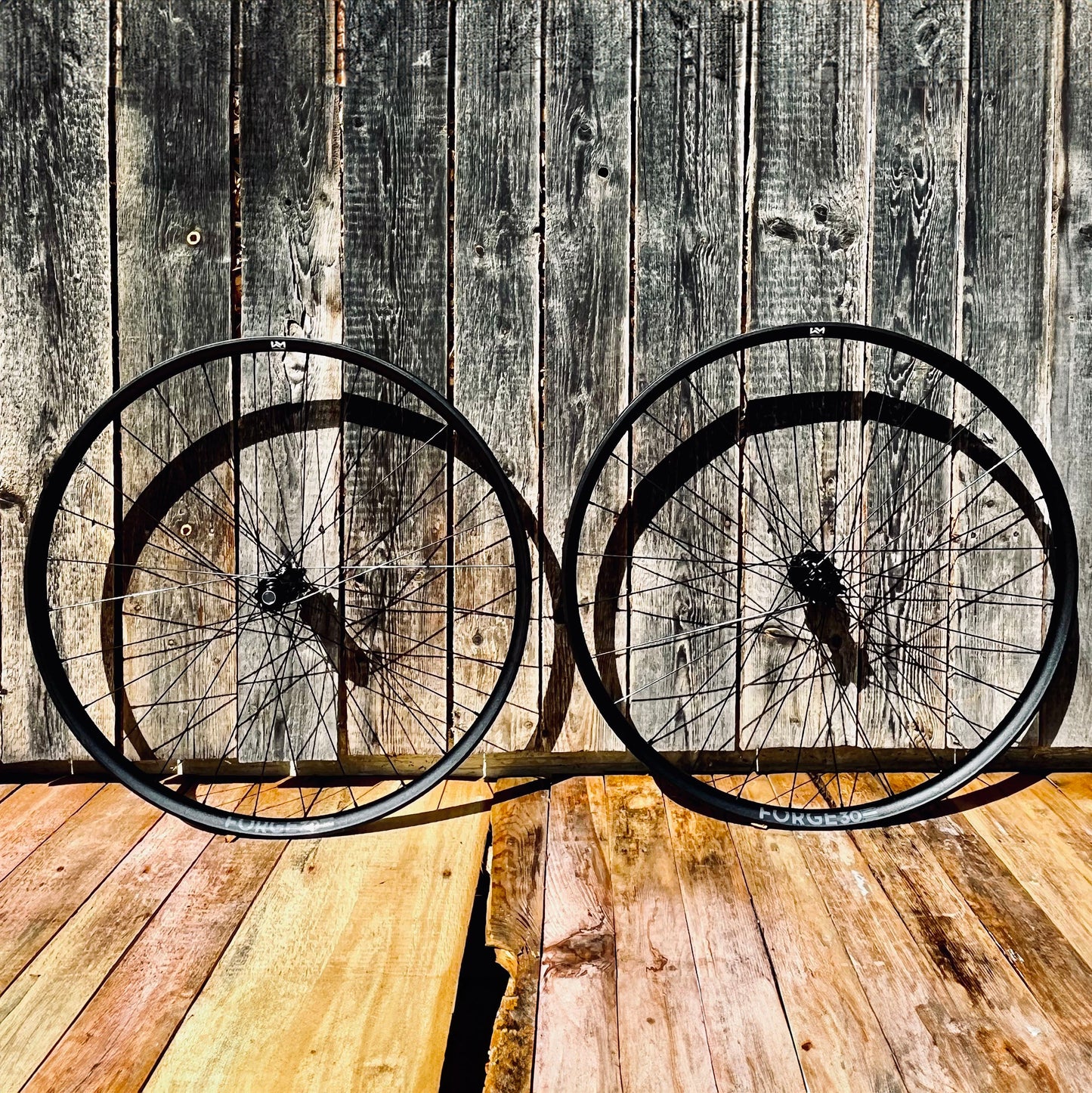 NEWMEN - Wheel (Front) - Forge 30 Light | Cross Country - [D]