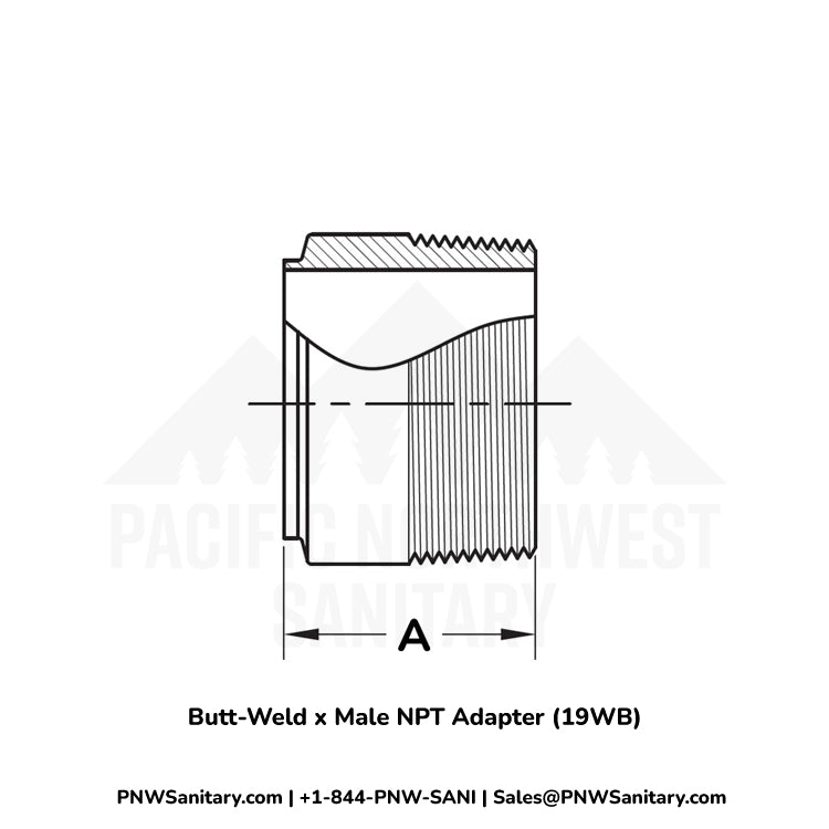 Butt-Weld x Male NPT Adapter - 2.000" OD Butt-Weld x 2" MNPT - (19WB) - 304 Stainless