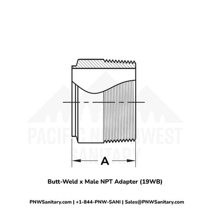 Butt-Weld x Male NPT Adapter - 2.000" OD Butt-Weld x 2" MNPT - (19WB) - 304 Stainless