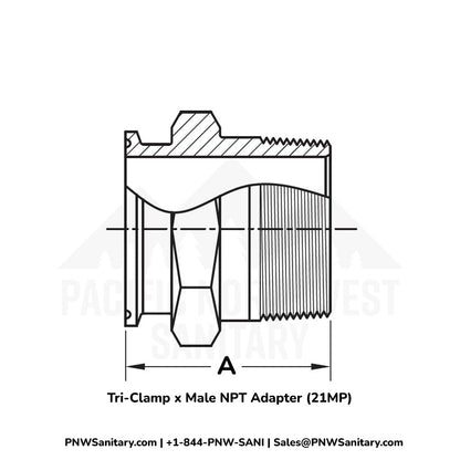 Tri-Clamp x Male NPT Adapter - 2.000" Tri-Clamp x 2" MNPT - (21MP) - 304 Stainless