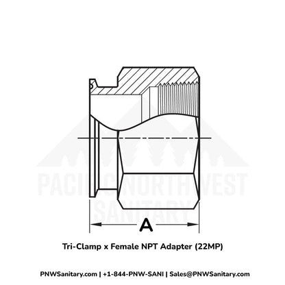 Tri-Clamp x Female NPT Adapter - 2.500" Tri-Clamp x 2-1/2" FNPT - (22MP) - 316L Stainless