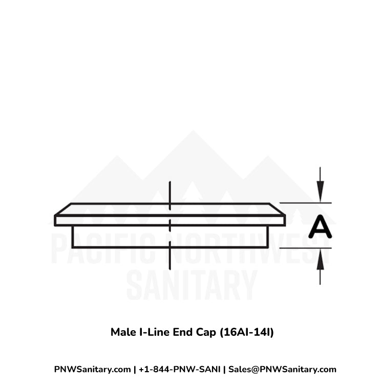 1.500" Male I-Line End Cap - (16AI-14I) - 304 Stainless