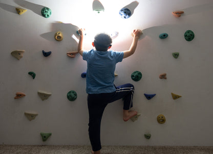 Premium Rock Climbing Holds (Aurora) - Glow-in-the-Dark Rock Climbing Holds