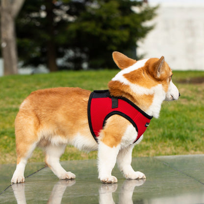 Mr. Peanut's PupTrek Soft Mesh Pet Harness with Matching Leash – Adjustable, Breathable, Choke-Free