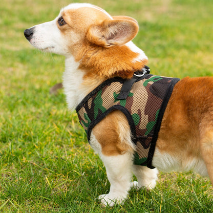 Mr. Peanut's PupTrek Soft Mesh Pet Harness with Matching Leash – Adjustable, Breathable, Choke-Free