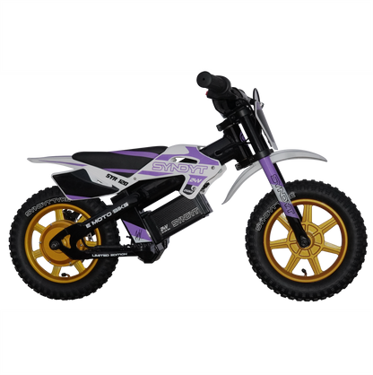 SYNDYT SYR 120 12" E-BMX  24 Volts. 10 AH. 250 Watts. 5, 8, 12mph