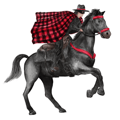Red & Black Rider Garden Stake