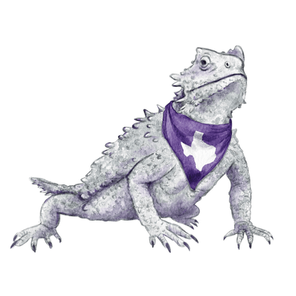 Purple Horned Frog Acrylic