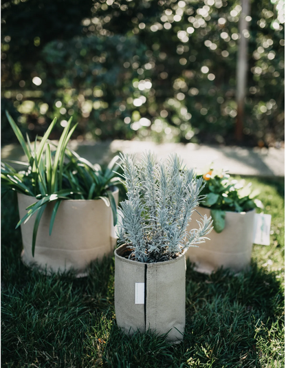 Classic Fabric Pots