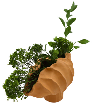 Sirene Shell Vase