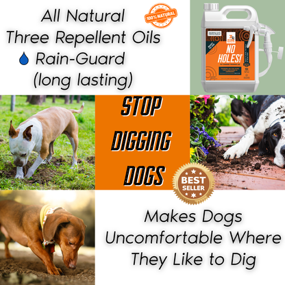 No Holes! Digging Prevention Gallon Trigger Sprayer