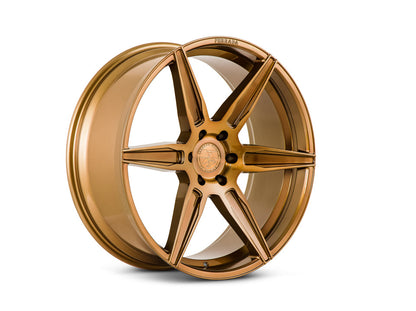 FT2 - 24x10