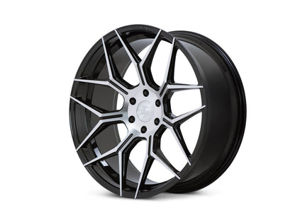 FT3 - 24x10