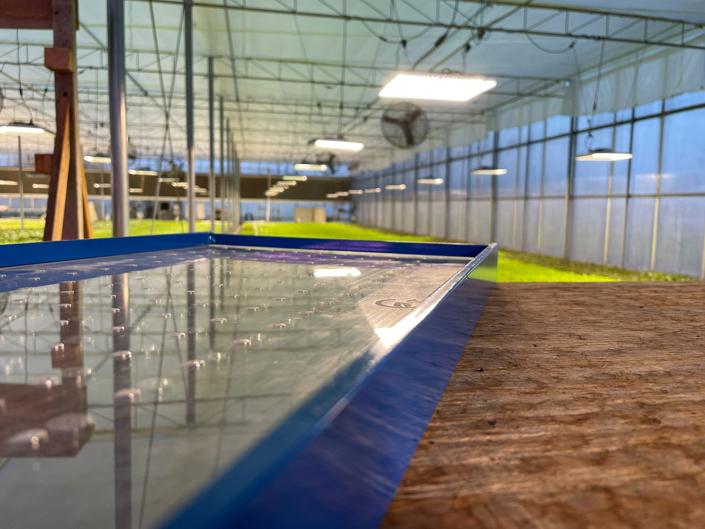 GreenEase Drop Seeder for Bootstrap Farmer Trays