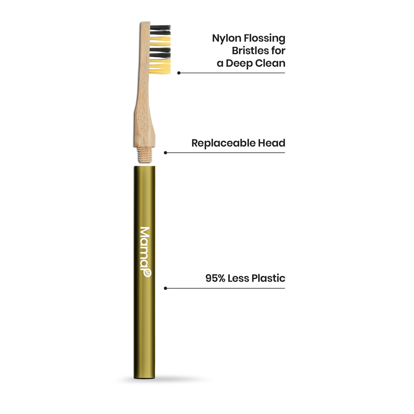 Revolve Toothbrush Starter Set