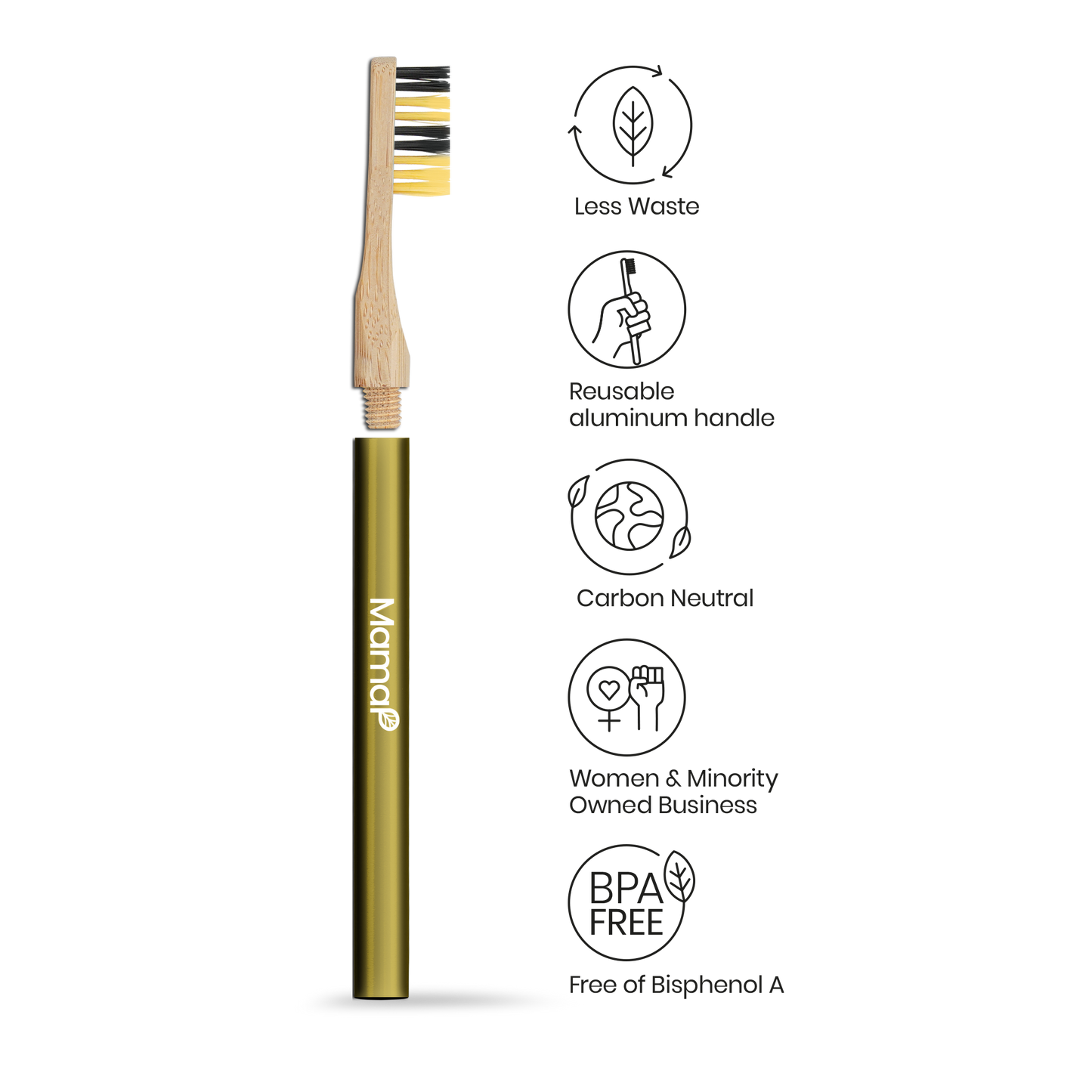Revolve Toothbrush Starter Set