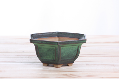 Willow Bonsai Ceramics Hexagonal Windowed Bonsai Pot 5 Inch – Semi‑Cascade Planter, High‑Fired Frost‑Proof Stoneware with Drainage & Wiring Holes, Handmade in USA (Avocado)