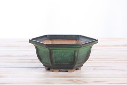 Willow Bonsai Ceramics Hexagonal Windowed Bonsai Pot 5 Inch – Semi‑Cascade Planter, High‑Fired Frost‑Proof Stoneware with Drainage & Wiring Holes, Handmade in USA (Avocado)