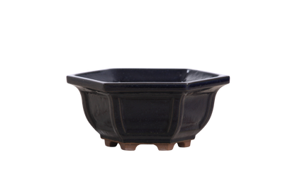 Willow Bonsai Ceramics Hexagonal Windowed Bonsai Pot 5 Inch – Semi‑Cascade Planter, High‑Fired Frost‑Proof Stoneware with Drainage & Wiring Holes, Handmade in USA (Ruri)