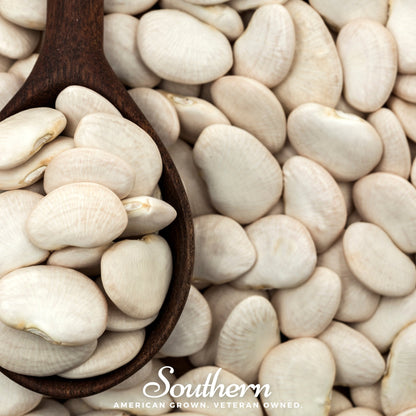 King of the Garden Lima Bean (Pole) – 15 Seeds