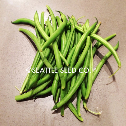 Beans - Blue Lake FM-1 (Pole)