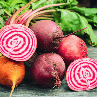 Chioggia Beet – 100 Seeds