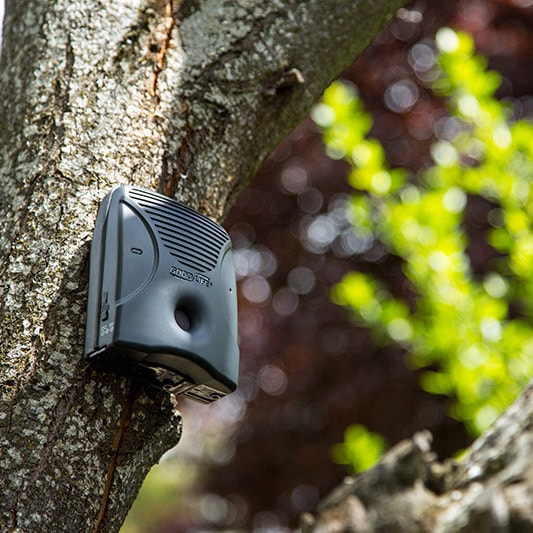 Mounting Bracket with Pan & Tilt