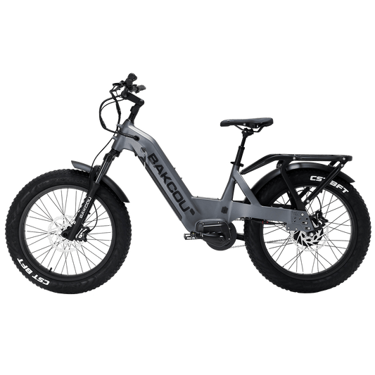 Flatlander SD
