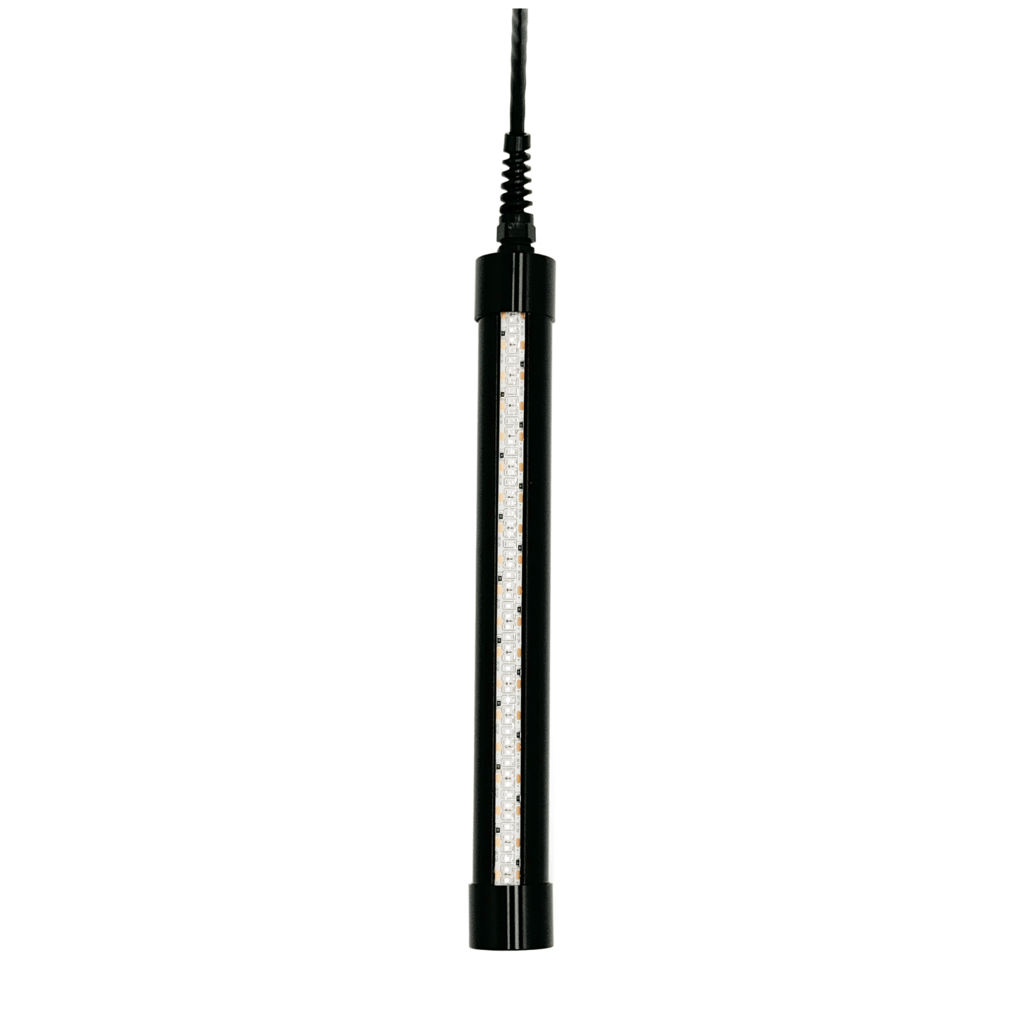 HG250G Underwater Fishing Light