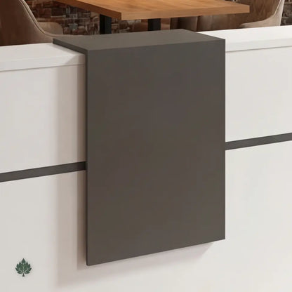 Mirel · Front Reception Desk