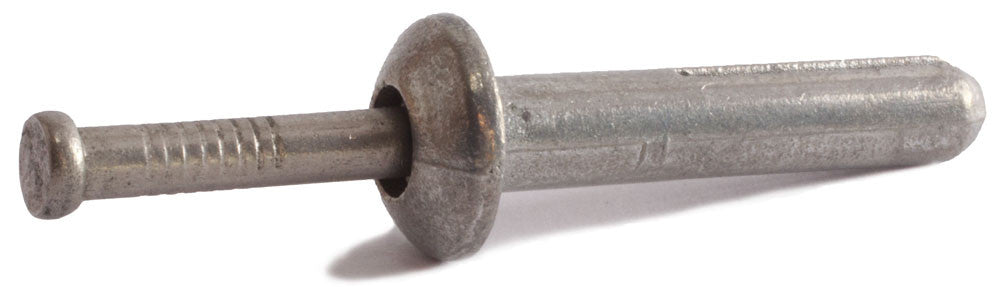 1/4 x 1 Nail-in Anchor Mushroom Stainless Steel (100)