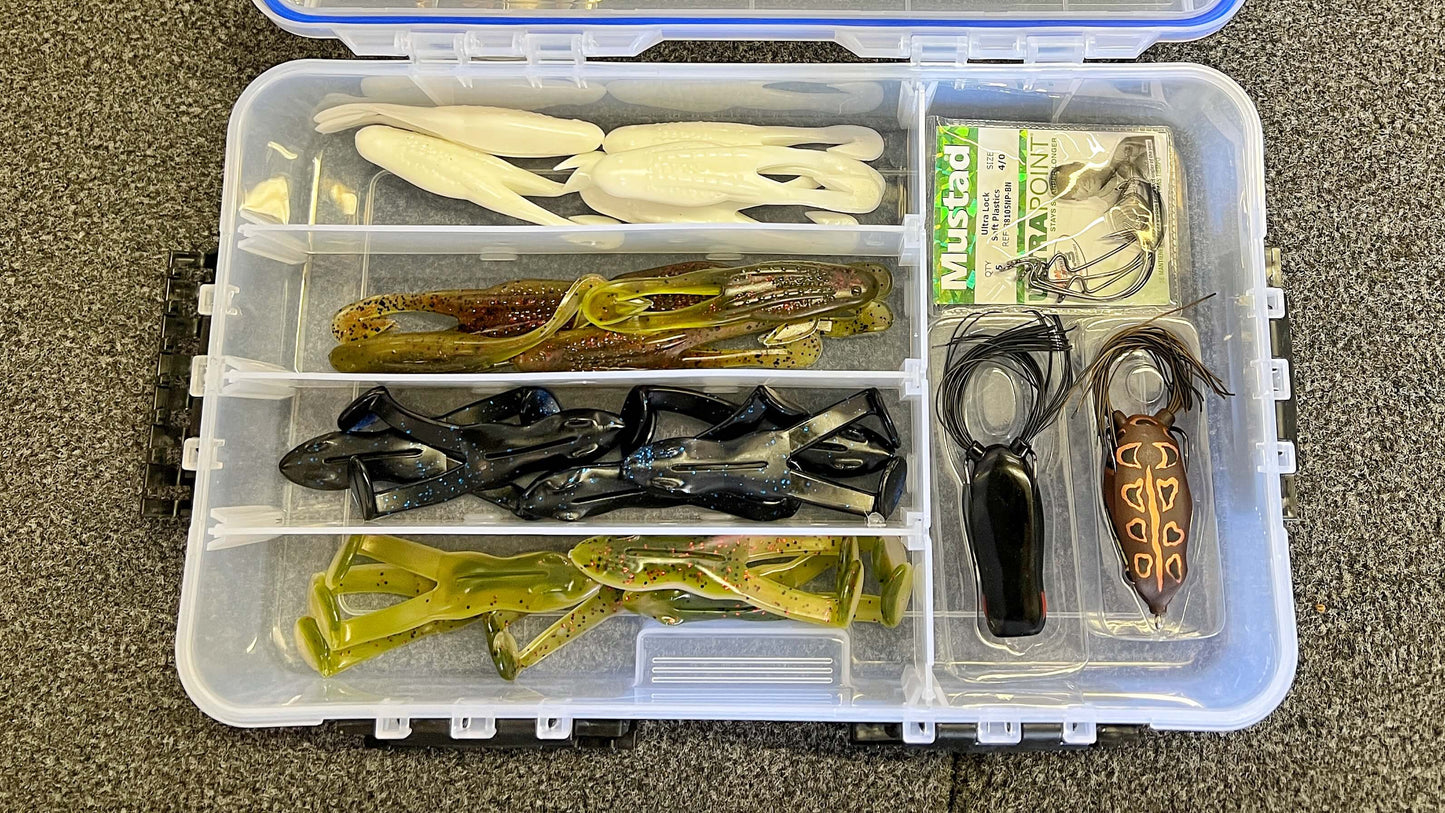 The Ultimate Frog & Toad Box – Handpicked by Shaye Baker! 🐸