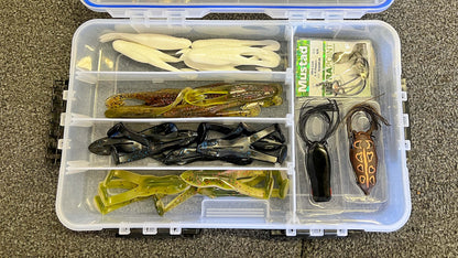 The Ultimate Frog & Toad Box – Handpicked by Shaye Baker! 🐸