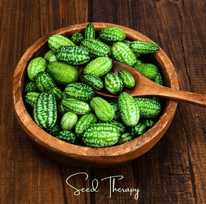 Mouse Melon – 10 Seeds
