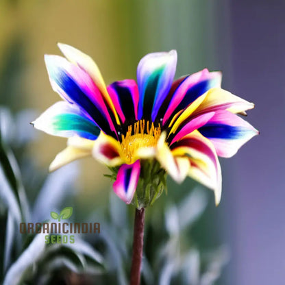 Multicolor Dwarf Variegated Sunflower Seeds - Brighten Your Garden with Vibrant Blooms
