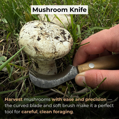 Mushroom Knife for Forest Walks, 6 cm (2.36 inches)
