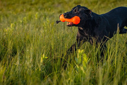 Barrows Training Bumper - Orange