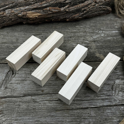 Set of 6 Medium Rectangular Linden Wood Carving Blanks