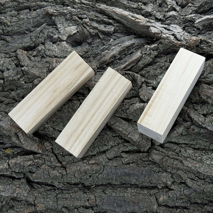 Set of 6 Medium Rectangular Linden Wood Carving Blanks