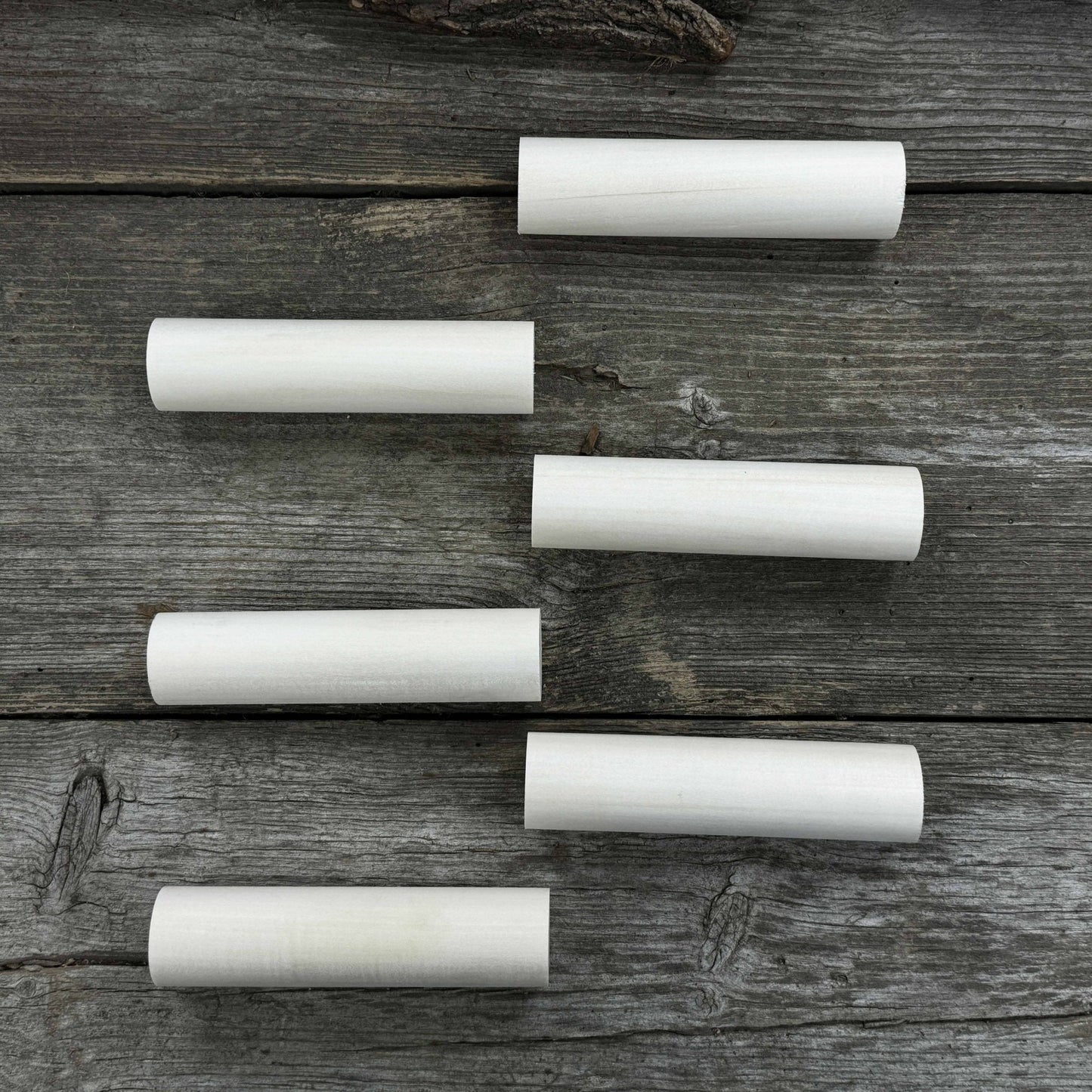 Set of 6 Round Linden Wood Carving Blanks