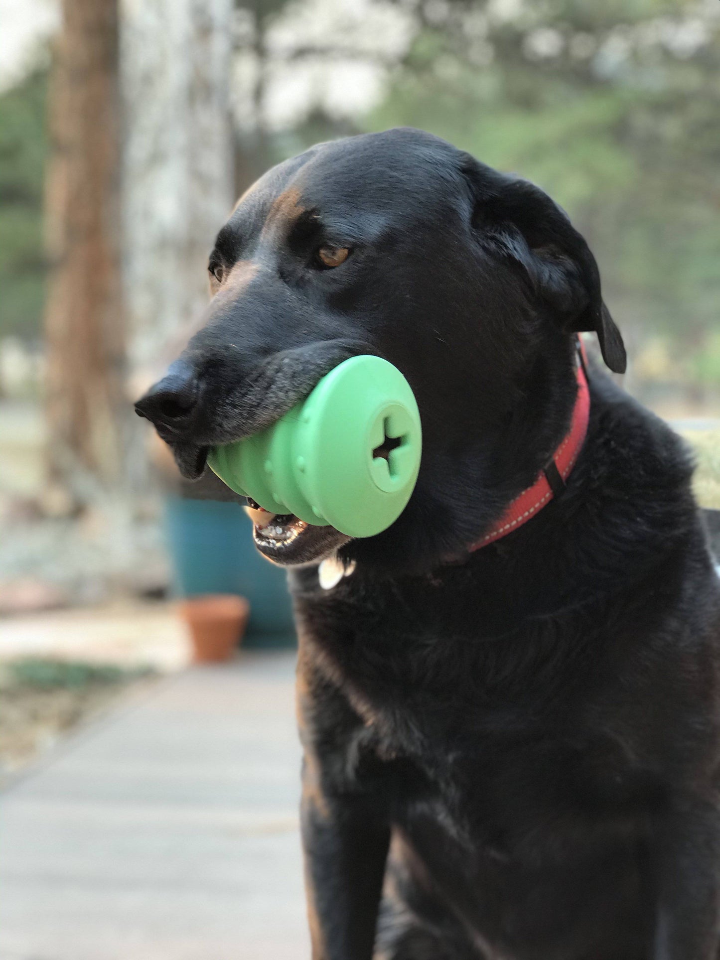 Christmas Tree Dog Toy - Durable Rubber Chew Toy for Large Dogs | USA Made