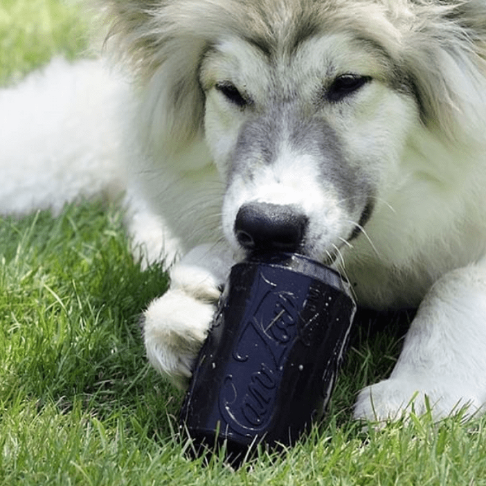 Magnum Can Toy Rubber Dog Chew Toy for Extreme  Chewers | Treat Dispenser | USA Made