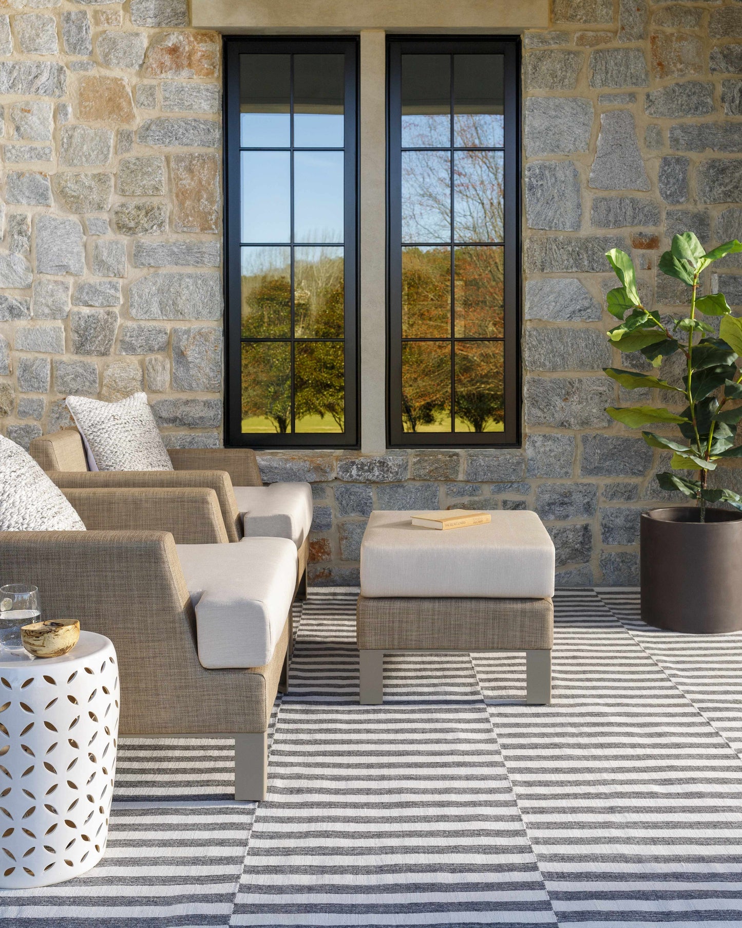 The Elm Rug