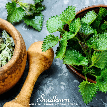Stinging Nettle – 100 Seeds