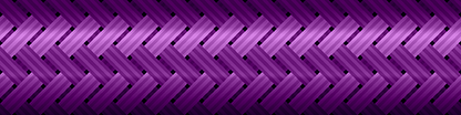 Scion tC AT20 2011-2016 Brake Lines HEL Stainless Steel Braided