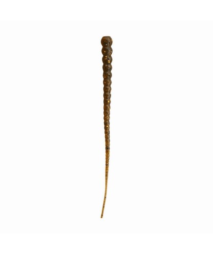 Whip Worm - Soft Plastic Worm with Whip-Like Tail for Bass Fishing