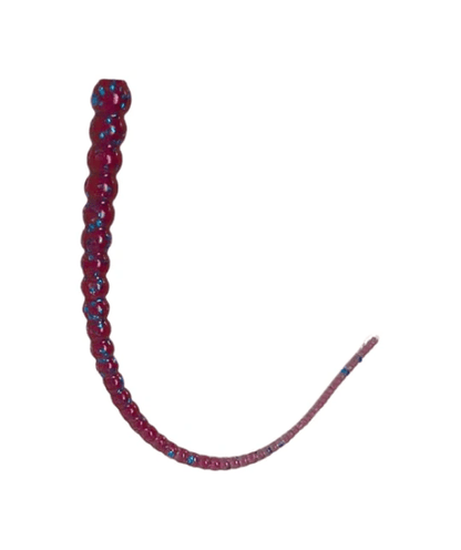 Whip Worm - Soft Plastic Worm with Whip-Like Tail for Bass Fishing
